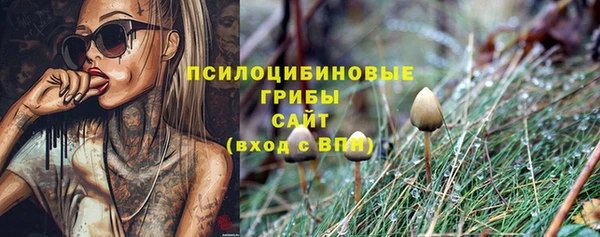 стафф Липки