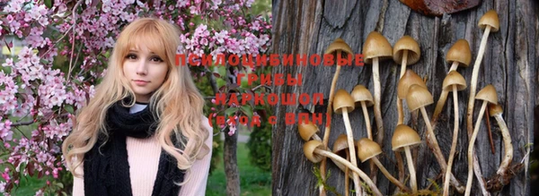 трава Абдулино