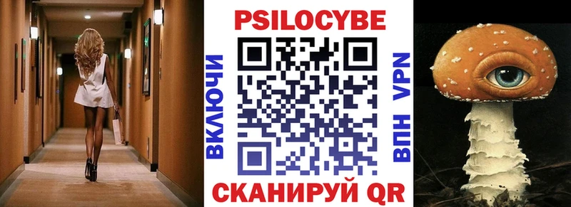 сколько стоит  Сусуман  Псилоцибиновые грибы мицелий 