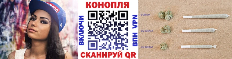 Канабис Bruce Banner Сусуман